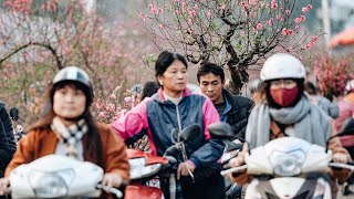 Bản tin sáng 30 Tết 24/01/2020 | VTC Now