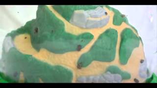 Ladybug Land Video Review - 22 days of Raising ladybugs.