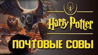 Совиная почта. Особенности чародейских сов | Misterium - Harry Potter