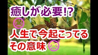 【タロットオラクル 癒しが必要⁉️ボロボロ大変すぎる??人生で今あなたに起こっている事の意味は】その意味は？