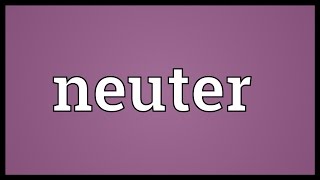 Neuter Meaning
