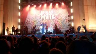 Mgzavrebi   Нам не страшен Серый Волк окончание  Дикая Мята 2015