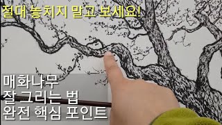[추니박그림배우기] 매화나무 그리기 완전 핵심 포인트 강의