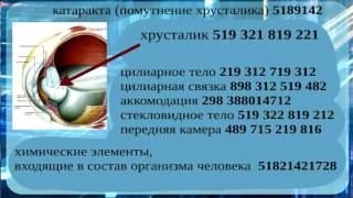 Восстановление органа зрения при помощи числовых рядов Григория Грабового. Часть 2