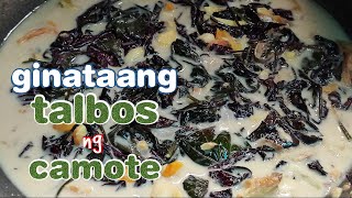 GINATAANG TALBOS NG CAMOTE | LUTONG PROBINSYA  | LUTONG PINOY | LUTONG BICOL