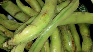 ماسك للوجه بالفول غريبة شوية دخلو شوفو