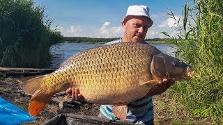 Ловля карпа летом на Марьевке. CARP PRO One 2019. Часть 1.