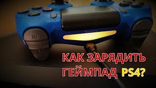 Как заряжать джойстик (геймпад) ps4 и как понять что он заряжен?