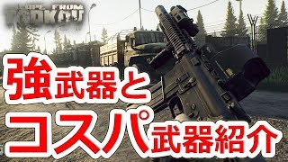 タルコフ初心者向け武器解説！強武器からコスパ武器まで【NHG】Escape from Tarkov
