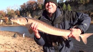 Lake Sturgeon Fishing with Worms in the Wisconsin Dells