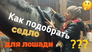 КАК ПОДОБРАТЬ СЕДЛО ДЛЯ ЛОШАДИ