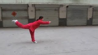 廖峰老師 忽雷剣 - 太極拳忽雷架 ★ 本邦初公開