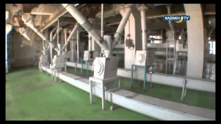 Flour production process