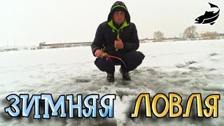 ПЕРВЫЙ ЛЕД / ЗИМНЯЯ РЫБАЛКА ПО ОКУНЮ НА МОРМЫШКУ / ПЕРВАЯ РЫБАЛКА ПО ЛЬДУ / ОТКРЫТИЕ СЕЗОНА 2017 №1