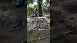 mesum di grebek warga