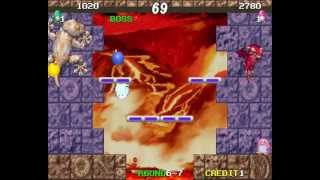 Penguin Brothers 2 player Netplay arcade