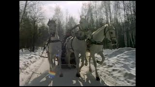 Три белых коня (1982) Лариса Долина