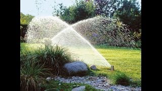 Hệ thống tưới tự động