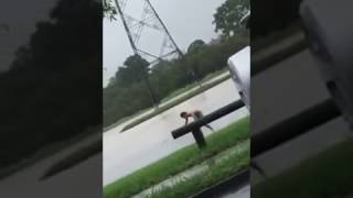 Jet Skiing in Flooded Cricket Field in Aftermath of Cyclone Debbie