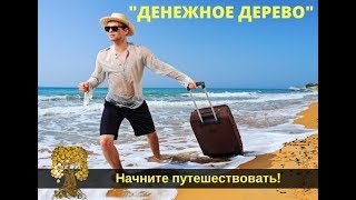 Курс Дмитрия Чернышова