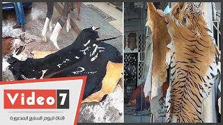 بالفيديو ..  دباغة الجلود  فى العيد .. والعمال يطالبون الدولة بتأمينات ومعاشات