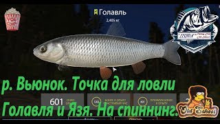 Русская рыбалка 4. р. Вьюнок. Точка для ловли Голавля на спиннинг.