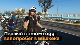 Первый в этом году велопробег в Бишкеке — видео с высоты