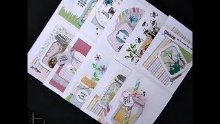 Queen & Co. / 10 Cards - 1 Kit / Love Jar &  Bug Jar Kit / Part 2