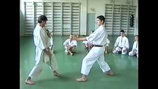 Семинар Ильи Йорги по Каратэ Фудокан в Ровно 1999 год  - 1 (Ilija Jorga Karate Fudokan 1999 - 1)