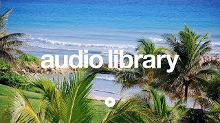 Beach Party - Kevin MacLeod (No Copyright Music)