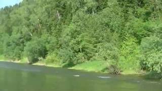 Река Томь, ниже д.Усть-Нарык.