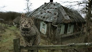РАЗВЕДКА НОВЫХ МЕСТ!!! КУЛАЦКАЯ ДЕРЕВНЯ!............Охота за сокровищами!!!