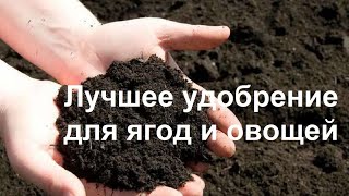 Байкал ЭМ 1 или препарат ЭМ своими руками? В чем разница?