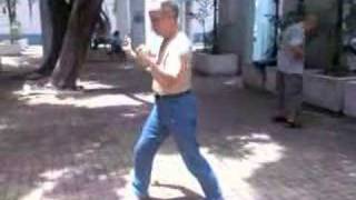 Wong Fei Hung Iron Wire Form Part 1-4 ( 鐵線拳 1-4 段)