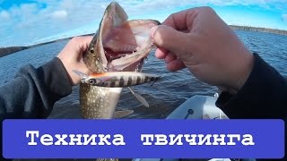 Твичинг для начинающих. Как ловить на воблеры.