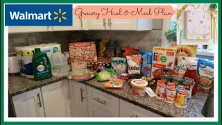 Wal-Mart Grocery Haul + Meal Plan for next week
