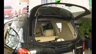 Ssang Yong Rexton details