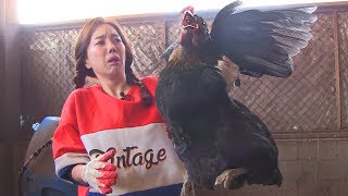 [Mukbang]놀랍게 큰 닭을 잡아먹자! 1탄? Giant Chickens VS Ssoyoung ? 炸鸡 チキン。ไก่ทอด Poulet