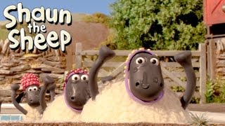 Shaun the Sheep - Championsheeps - Synchronised Swimming (OFFICIAL VIDEO)
