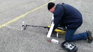 T-Rex 600 Testflug
