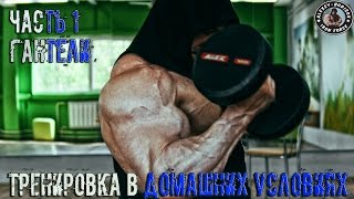 Тренировка в домашних условиях. Часть 1.гантели