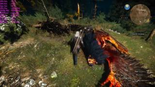 Intel G4560 + GeForce GTX 1050 Ti --The Witcher 3 Benchmark