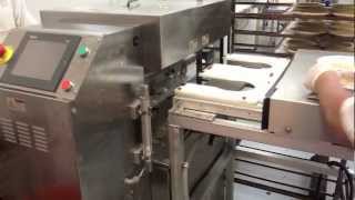 Model 2900 10SE12