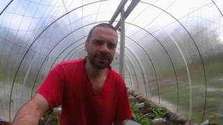 Самый простой капельный полив (полив по-нищебродски) The easiest drip irrigation