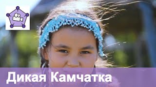 Камчатка осенью ⛰??. Медведи, лосось, вулканы, вертолеты, гейзеры.
