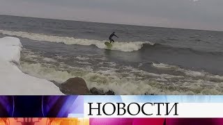 Ладожское озеро стало настоящим центром притяжения для серферов.