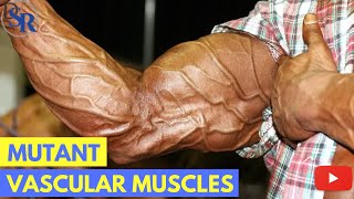 ? 5 Proven Tips To Get Bigger, Harder, More Vascular Muscles - by Dr Sam Robbins