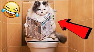 Я РЖАЛ ЦЕЛЫЙ ЧАС! СМЕШНЫЕ ЖИВОТНЫЕ! ПОПРОБУЙ НЕ ЗАСМЕЙСЯ!