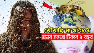 পৃথিবীতে মৌমাছি না থাকলে ৪ বছরেই ধ্বংস হয়ে যাবে পৃথিবী !! What would happen if bees went extinct?