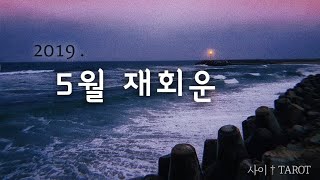 [타로카드:연애] 5월 재회운 / 연락 tarot :사이 타로: